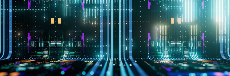 TMS Implementation Journeys